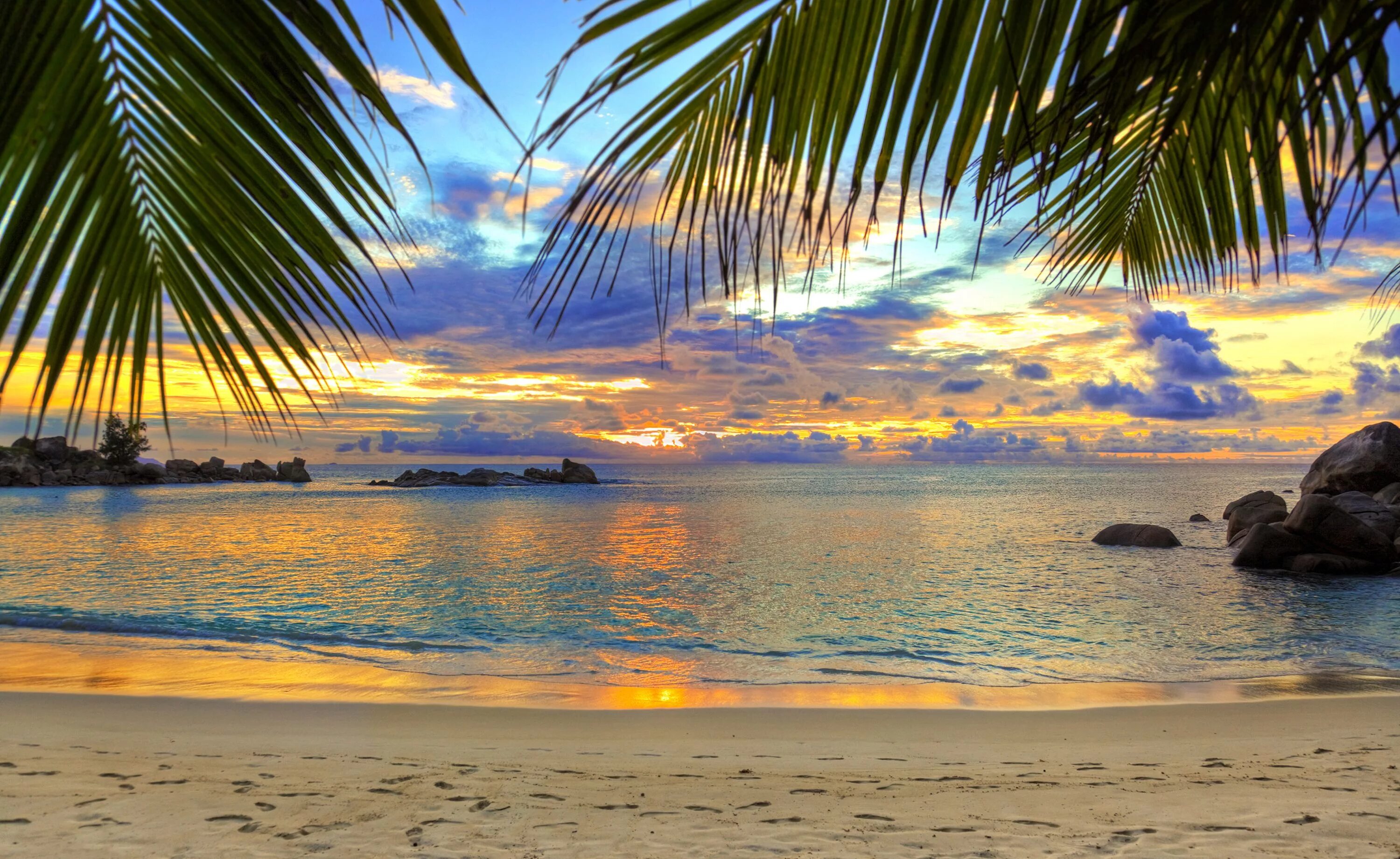 Летнее фото на рабочий View from the trees Beautiful beaches, Beach wallpaper, Dream beach