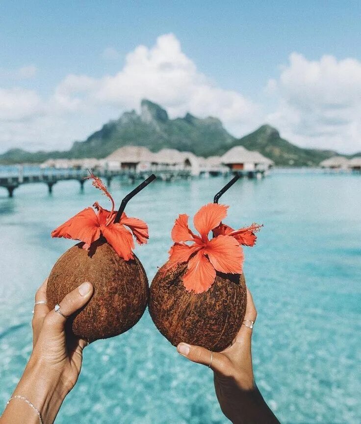 Летнее фото пинтерест Destination de luxe Coconut dream, Summer aesthetic, Beach