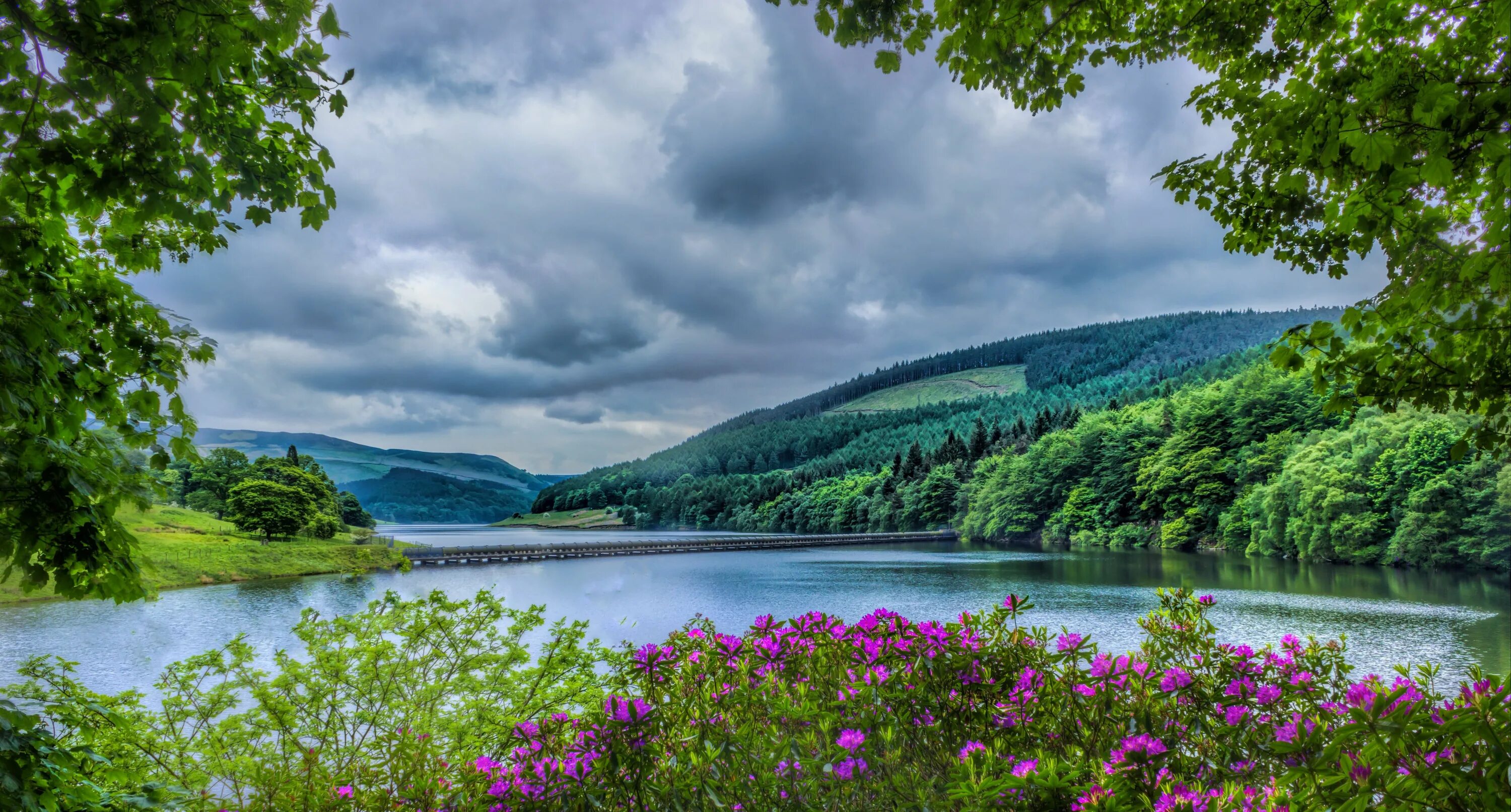 Летнее красивое фото скачать pink outdoor flowers beside river during daytime, ladybower reservoir, ladybower
