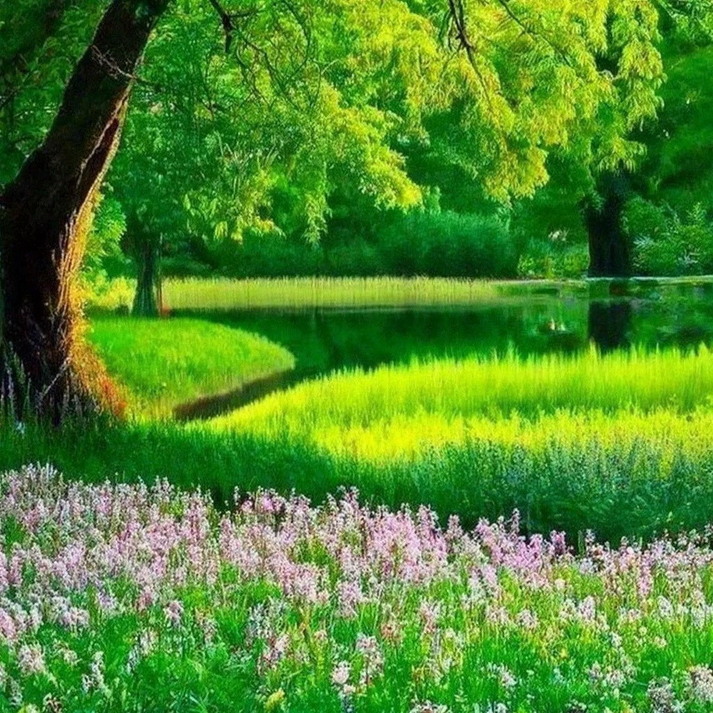 Летнее красивое фото скачать "Nature looks beautiful in summer" - image created in Shedevrum