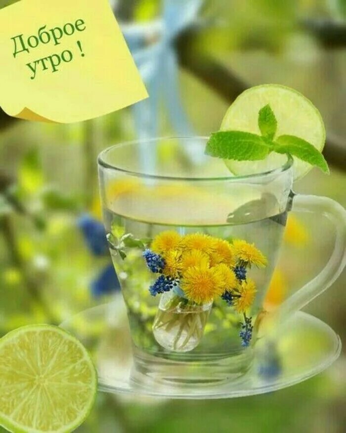 Летнее настроение доброе утро картинки позитивные Доброе утро! Greetings for the day, Birthday greeting message, Good morning