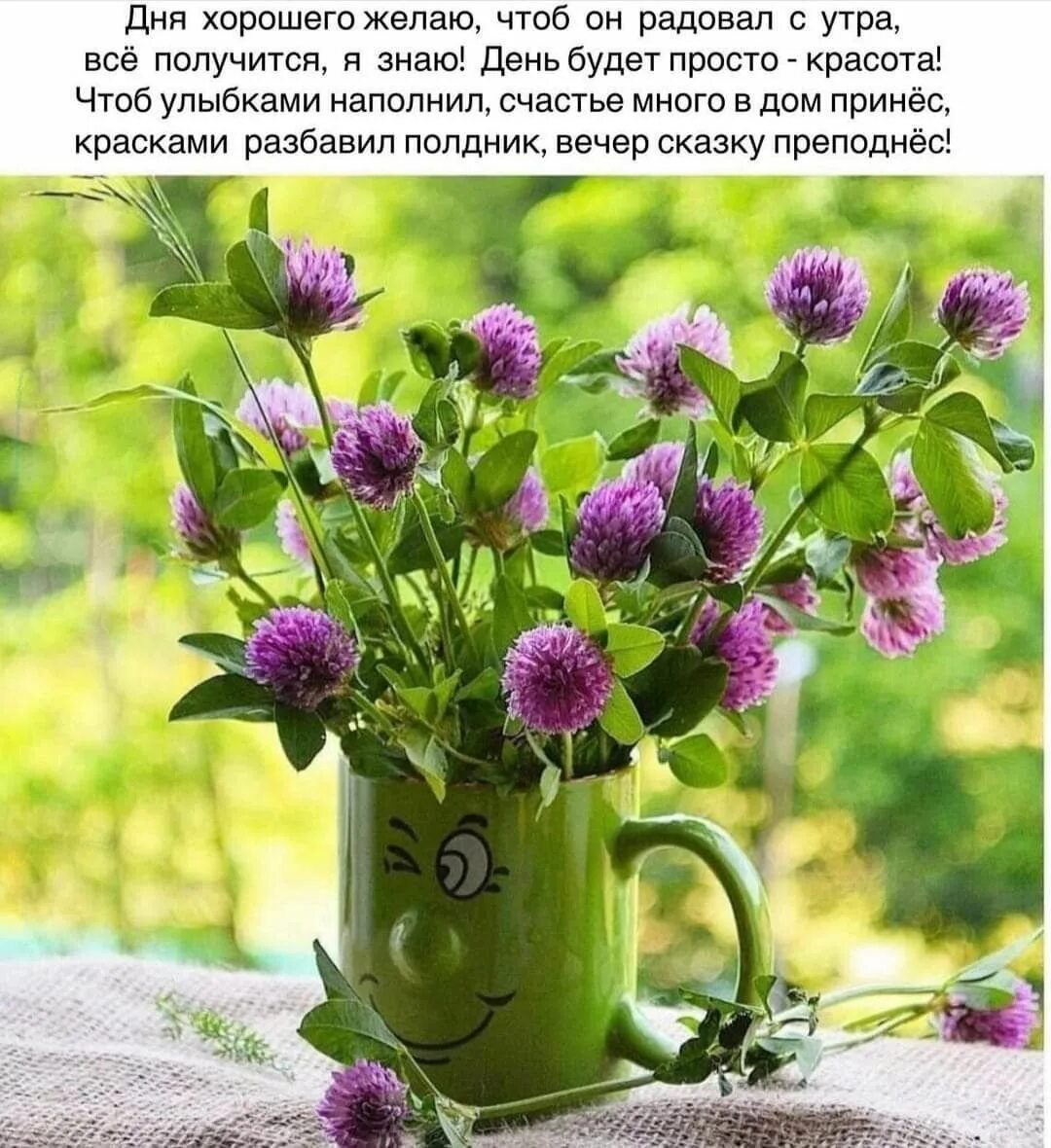 Летнее настроение доброе утро картинки позитивные Pin by Лёля Galustyan on Пожелания с добрым утром Flora botanica, Valley of flow