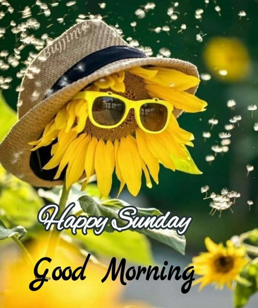 Летнее настроение доброе утро картинки позитивные Happy Sunday Good Morning Wishes