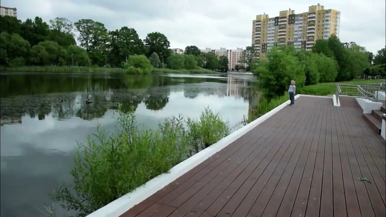 Летнее озеро калининград фото КАЛИНИНГРАД: на берегу Летнего озера - 16 июня 2022, ЧТ - YouTube