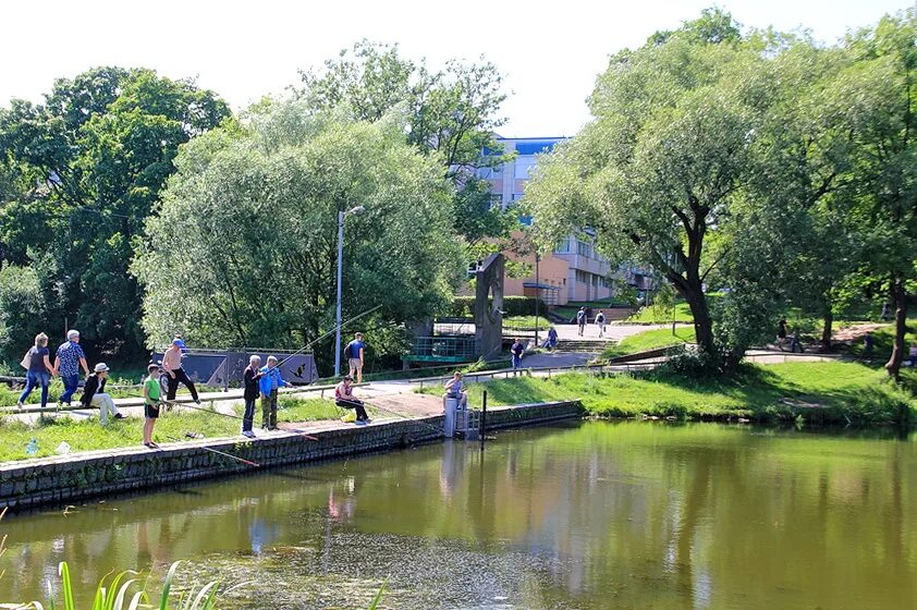 Летнее озеро калининград фото Нижнее озеро в Калининграде