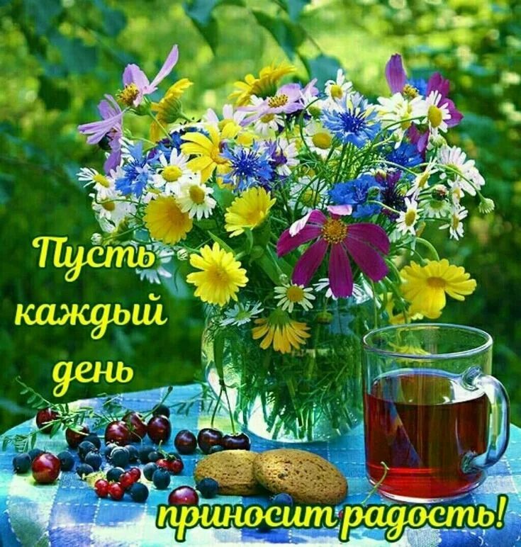 Летние фото с пожеланиями Пин от пользователя Лёля Galustyan на доске Пожелания с добрым утром Красивые цв