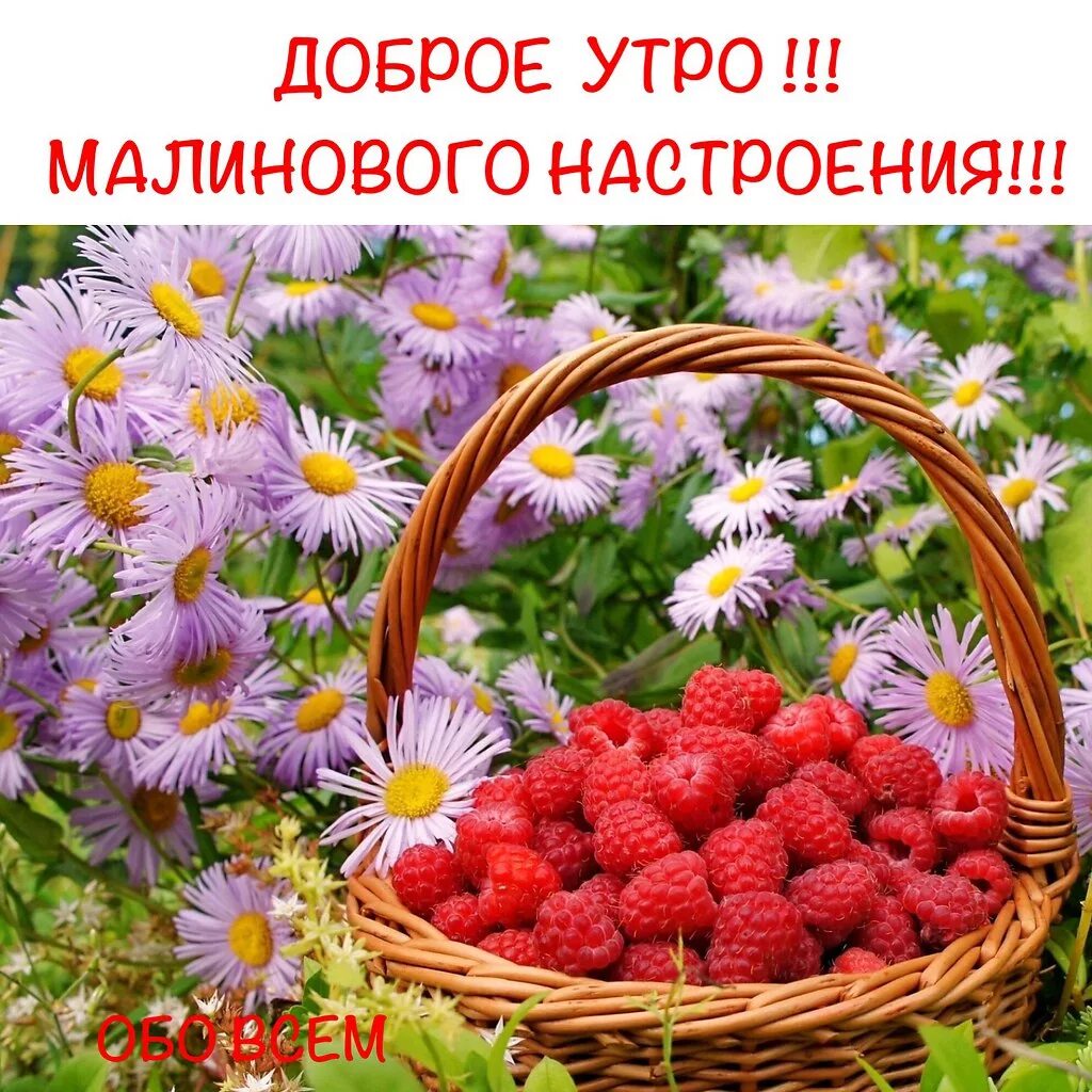 Летние фото с пожеланиями Счастливого, солнечного утра, дорогие друзья! Начните день ... ОБО ВСЕМ Фотостра