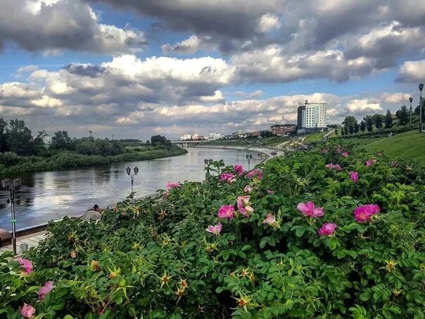 Летние фото тюмени Картинки ЛЕТА ЛЕТА ТЮМЕНЬ