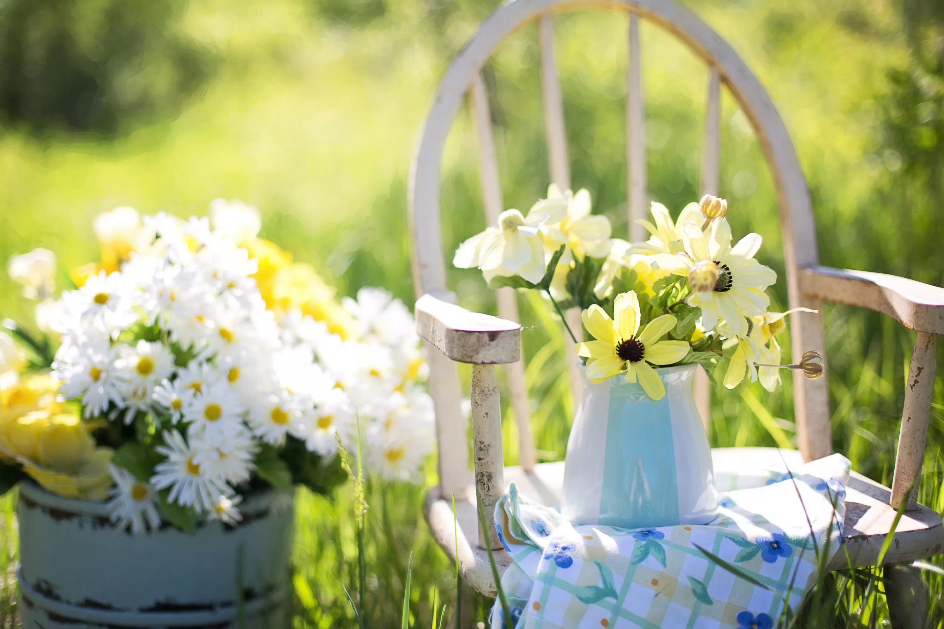 Летние картинки красивые новые позитивные Free Images : blossom, summer, spring, green, backyard, yellow, garden, flora, s