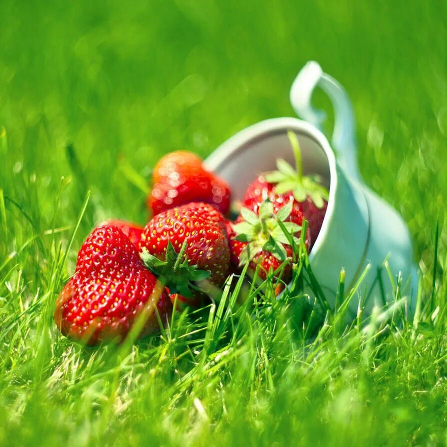 Летние картинки красивые позитивные 707 by Nigrita Welcome june, Hello june, Welcome june images