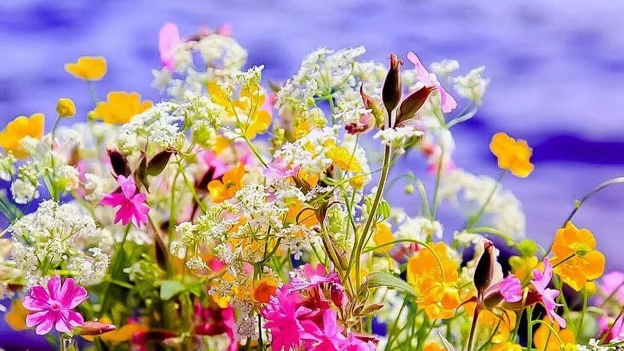 Летние открытки фото Beautiful Scenery and Calm Romantic Sentimental Piano Music - YouTube
