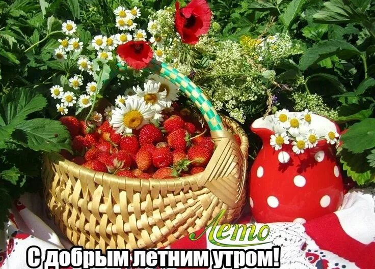 Летние открытки фото Пин от пользователя Маргарита Решта на доске Утро Фрукты, Клубника, Ягоды