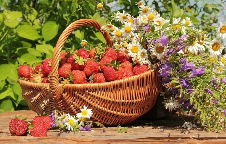 Летние открытки фото Скачать обои по теме еда Harvest basket, Harvest, Decorative wicker basket