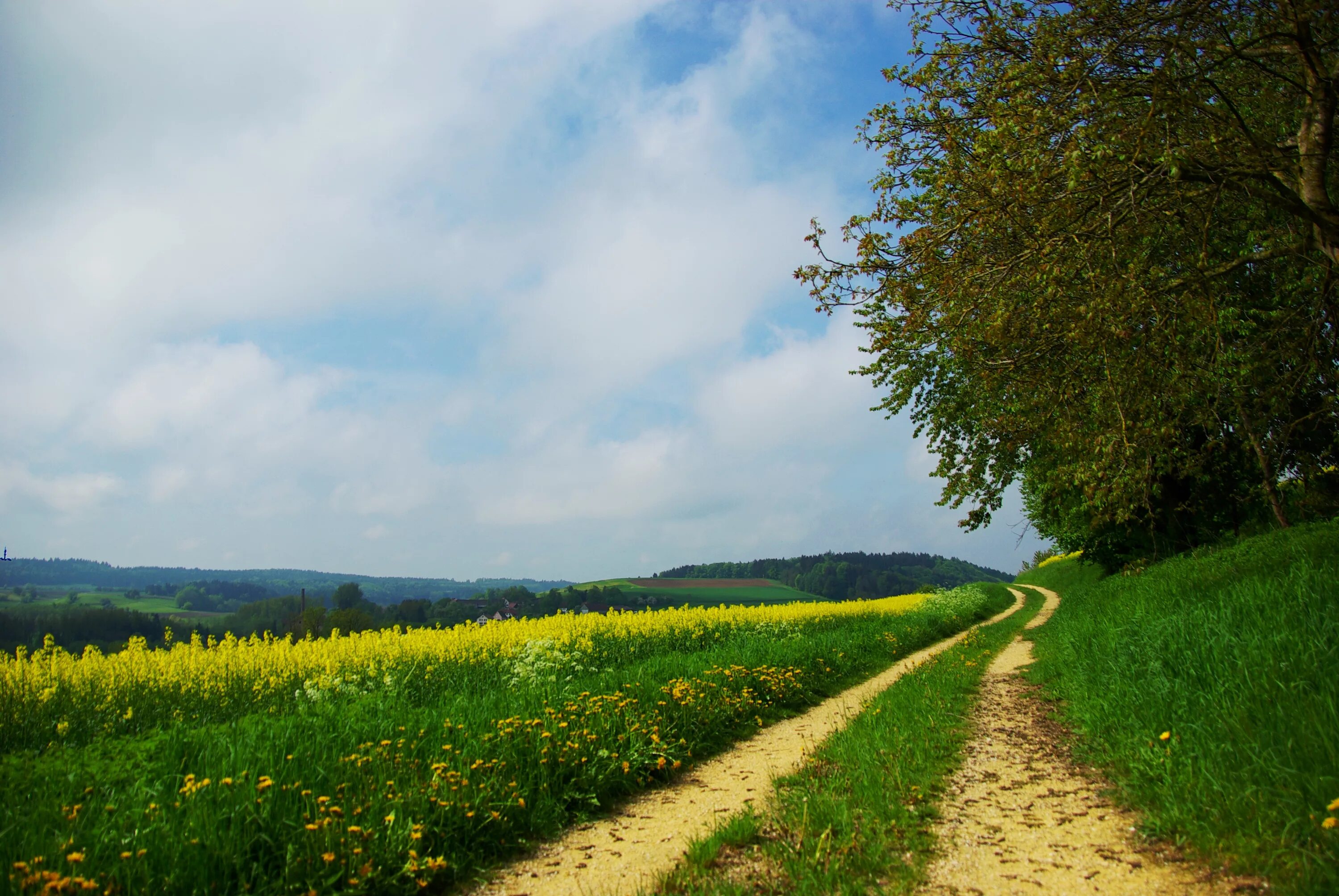 Летние пейзажи природы фото Wallpaper : road, country, summer, flowers, yellow, day, glade 3872x2592 - wallu