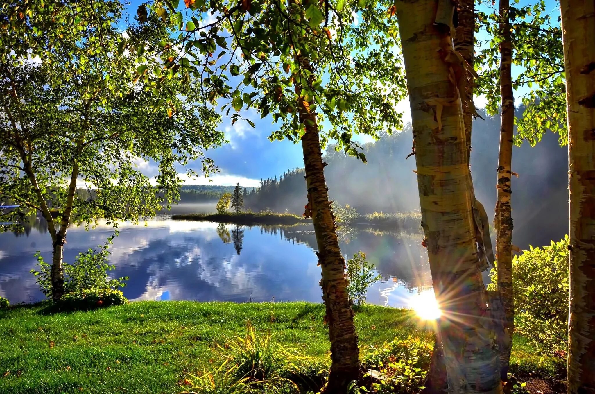 Летние пейзажи природы фото Free Images : tree, nature, forest, sun, sunset, sunlight, morning, leaf, lake, 