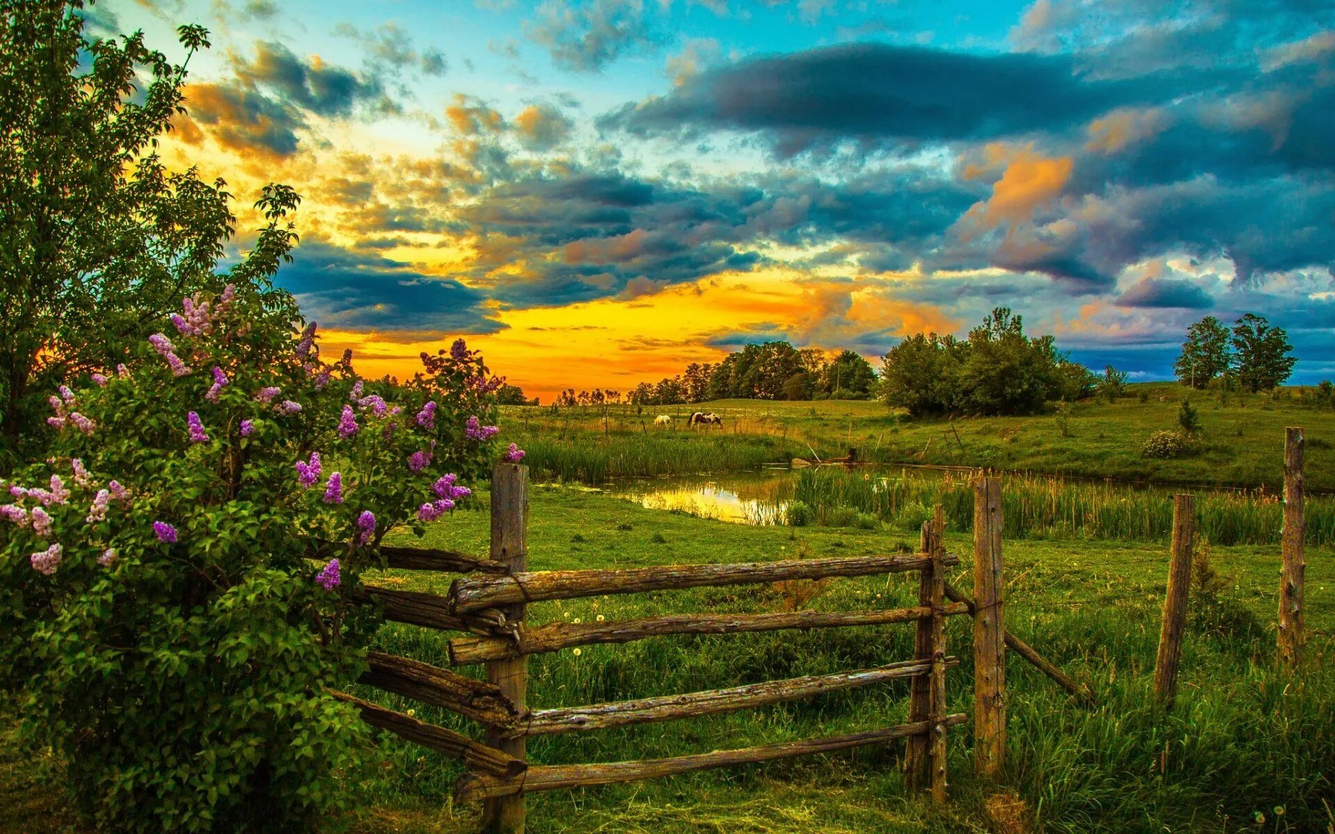 Летние пейзажи природы фото Sunset background, Sunset wallpaper, Landscape