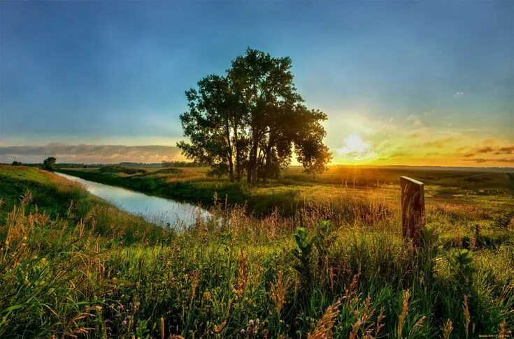 Летние пейзажи природы фото Pin by Ильин Евгений Юрьевич on Природы чудные мгновенья Summer landscape, Amazi