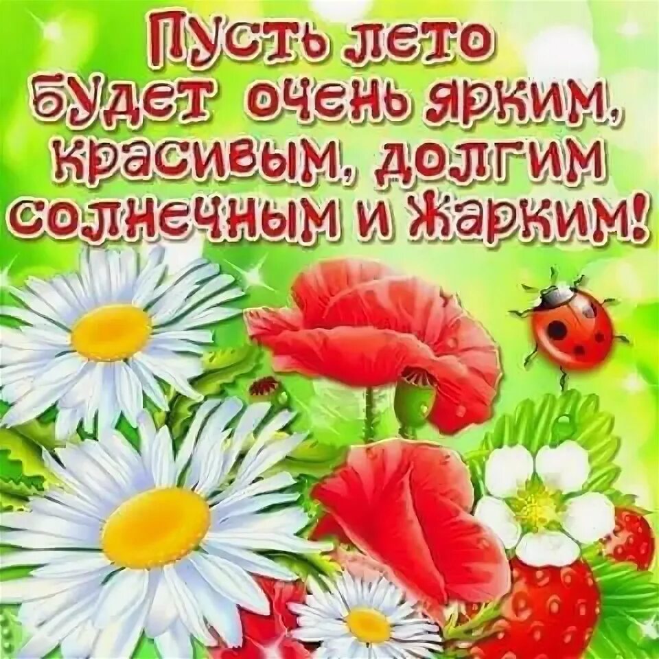 Летние пожелания картинки позитивные Пин от пользователя Лёля Galustyan на доске Лето Праздник, Лето, Веселые картинк