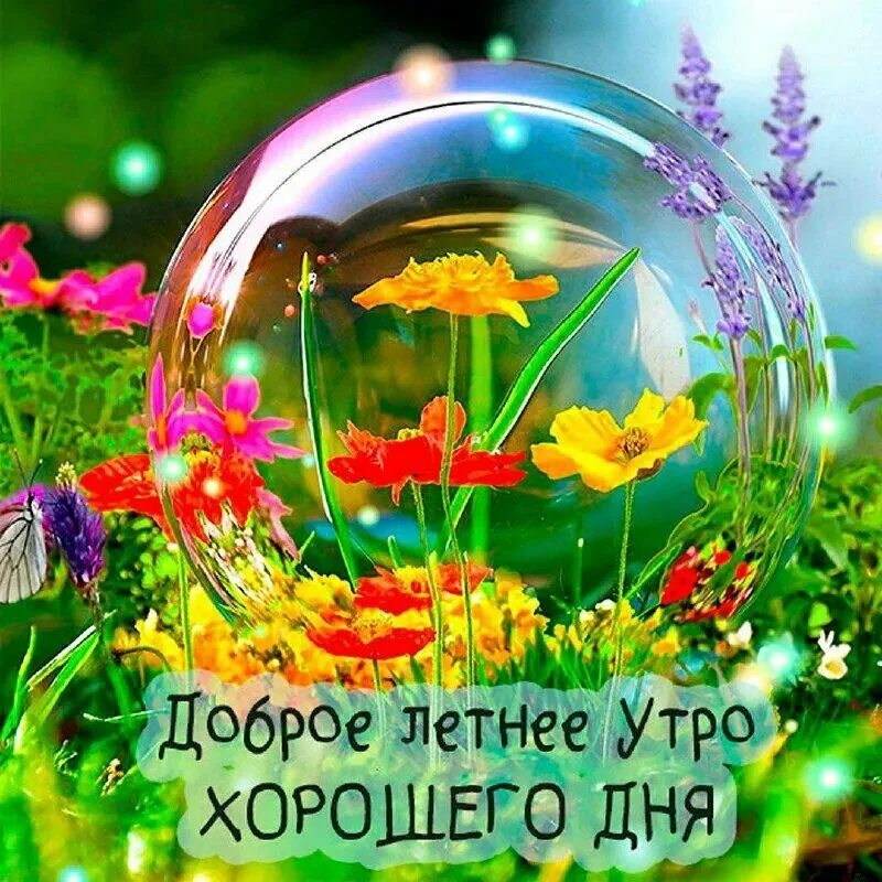 Летние пожелания картинки позитивные Post #6138 - ЗвездаПад (@zvezdapadnews)