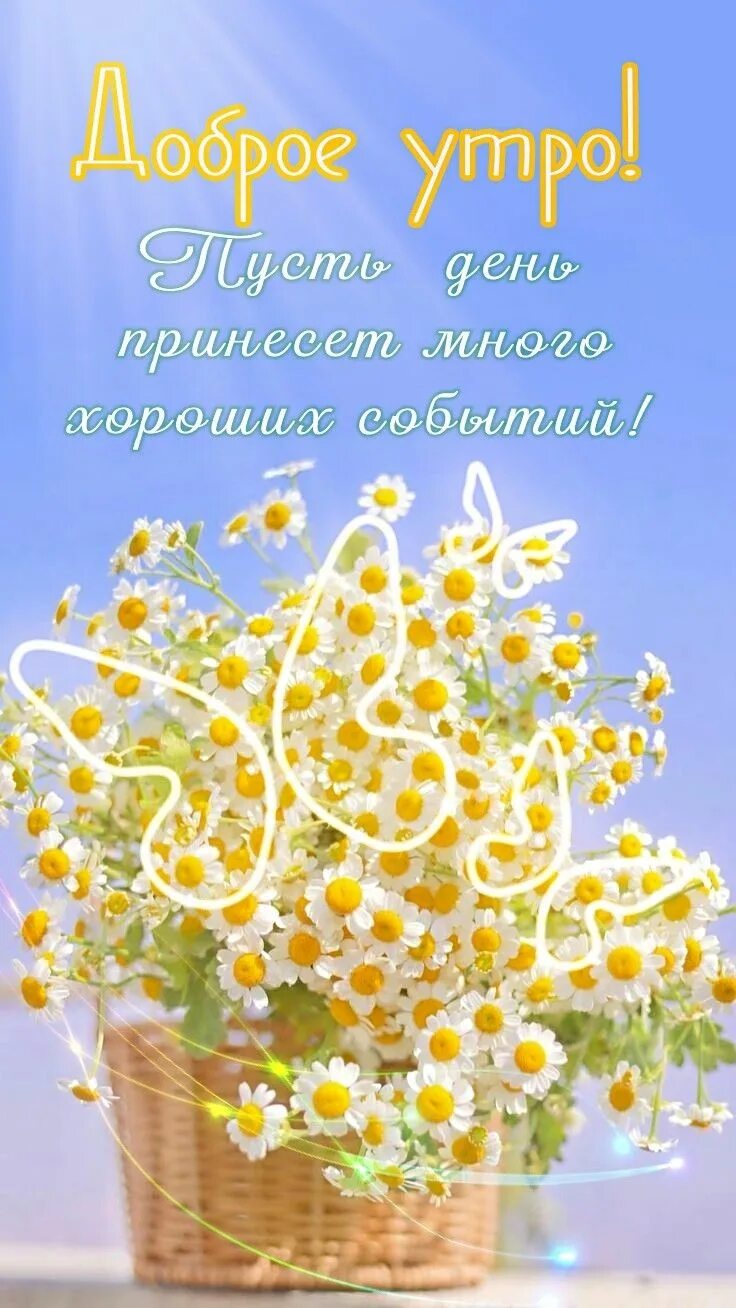 Летние пожелания картинки позитивные Доброе утро! Доброе утро, Картинки, Праздничные открытки