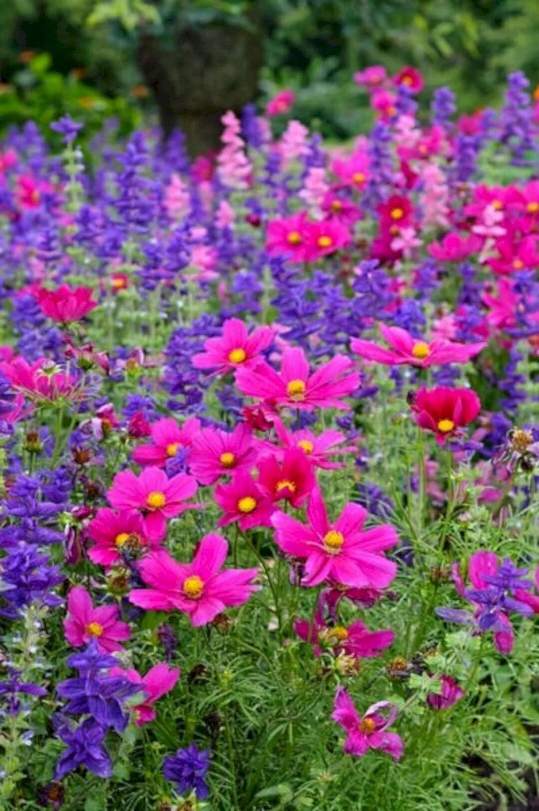 Летние садовые цветы фото и названия My Favorite Plant Combinations 5 https://freshouz.com/75-best-planting-combinati