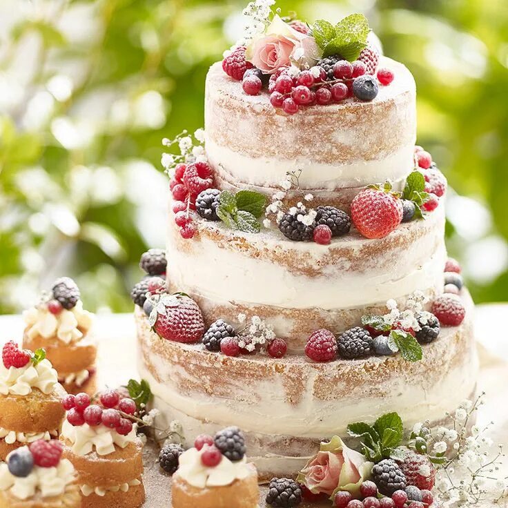 Летние торты фото Lakeland Berry cake, Simple wedding cake, Summer cakes