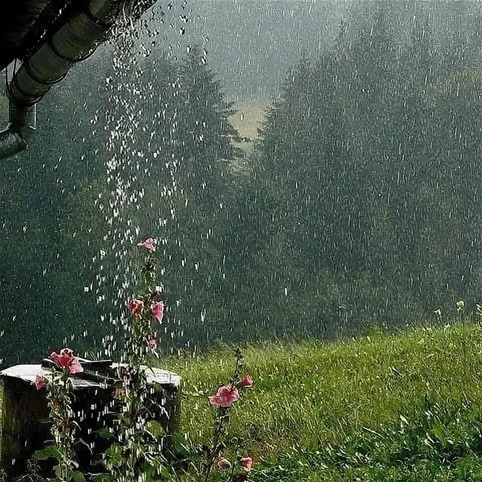 Летний дождь фото Pin by Sandra Ioannidou on It's Rain Rain wallpapers, Smell of rain, Beautiful n