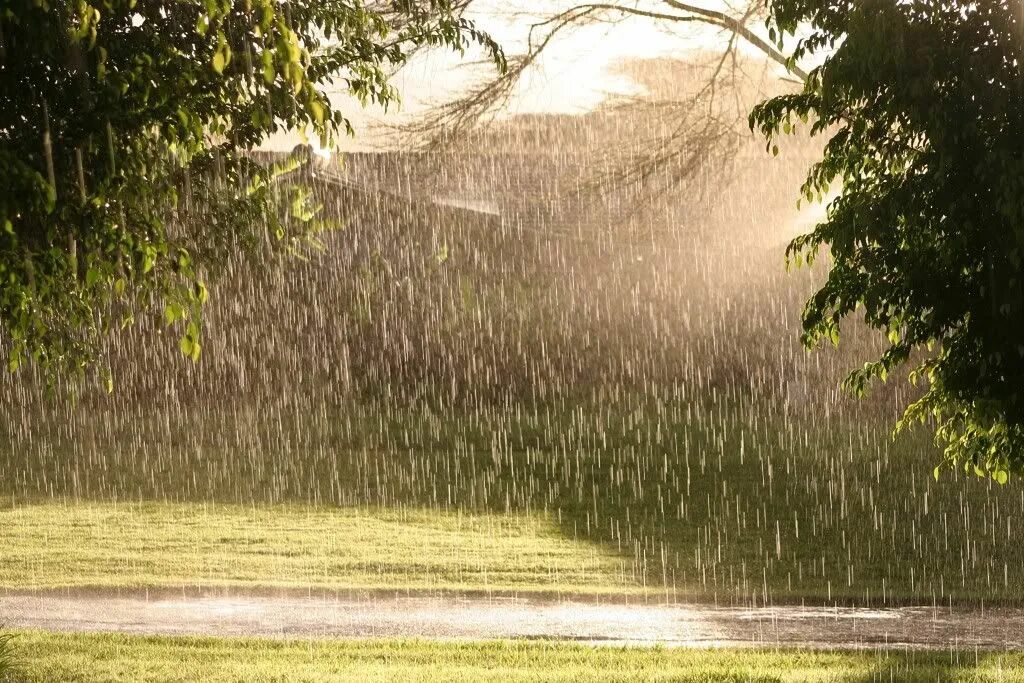 Летний дождь фото Rain in the sunshine Summer rain, Landscape, Scenery