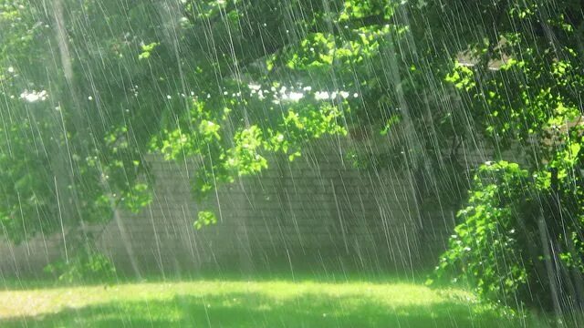 Летний дождь фото Embracing the Healing Power of Rain
