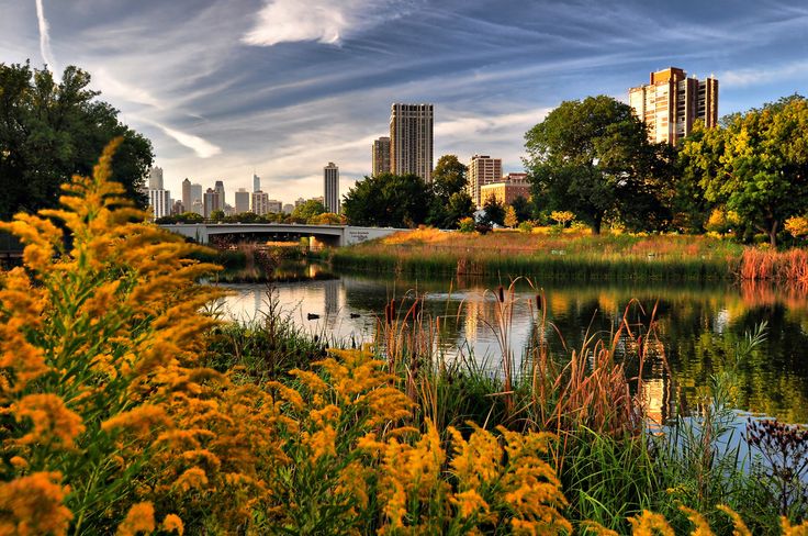 Летний город фото Autumn in Chicago by Seth Oliver Photographic Art@flickr Travel cheap destinatio