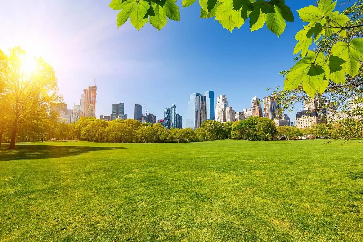 Летний город фото Have a Uniquely New York Summer of Culture and Fun All Across the City : New Yor