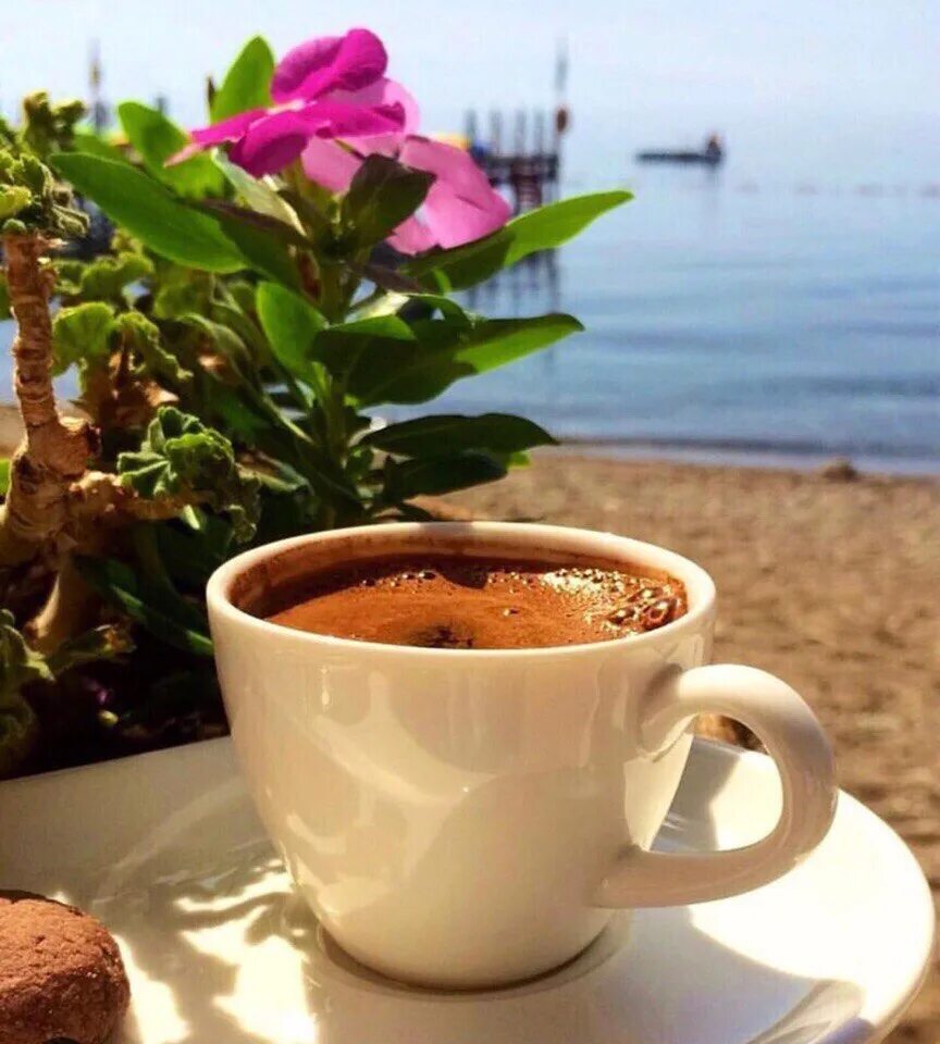 Летний кофе фото Добро jутро! Dobro jutro! Доброе утро Черногория #черногория #доброеутро #кафа 2