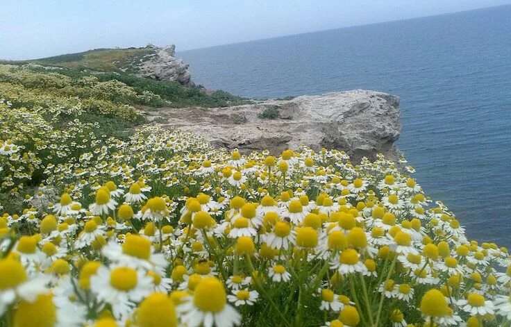Летний крым фото Одноклассники Места, Домики