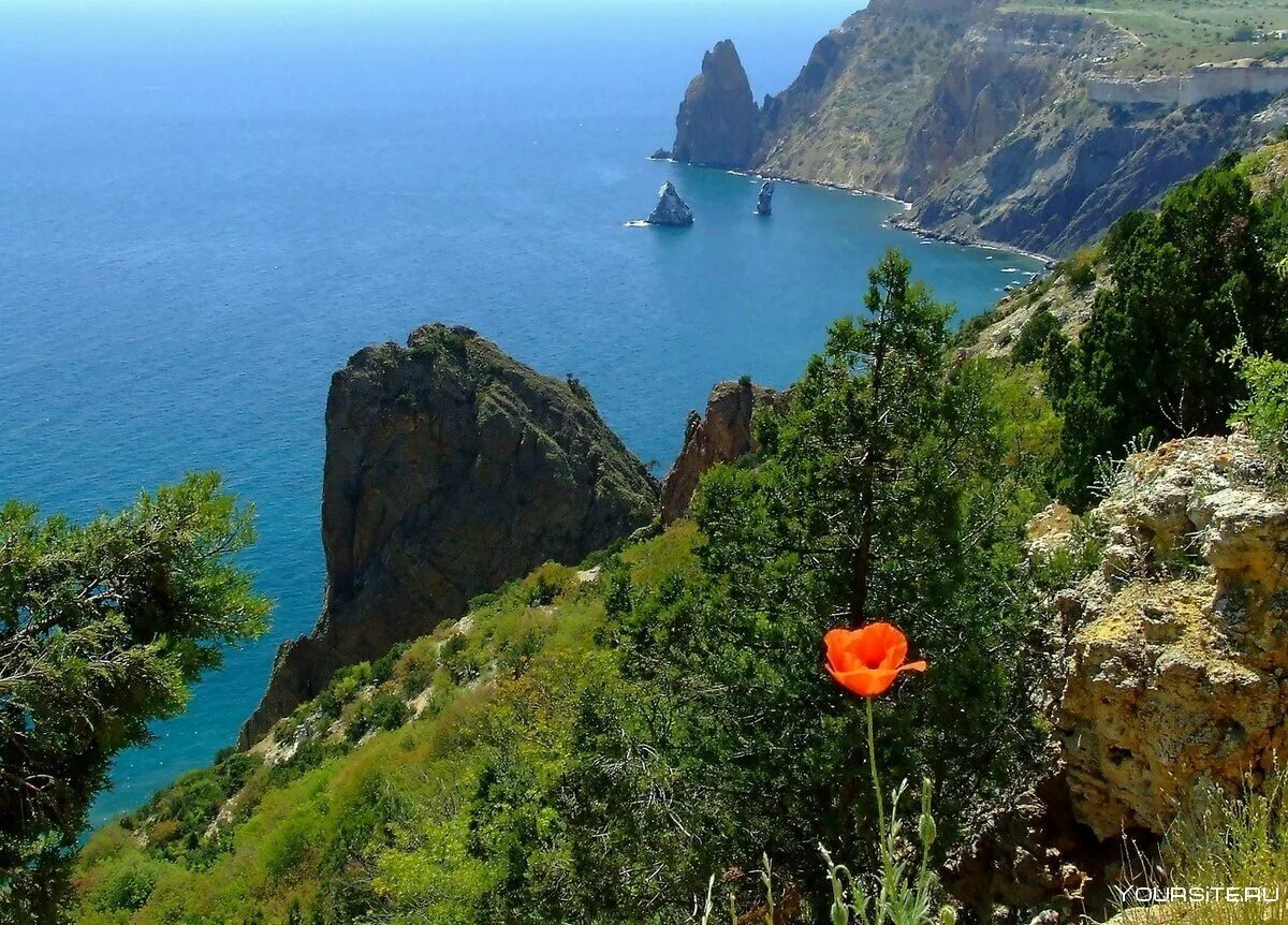 Летний крым фото Наслаждайтесь красотами Крыма вместе с нами! ✔ Санаторий Белоруссия