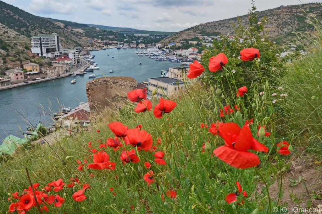 Летний крым фото Отдых в Балаклаве - Крым