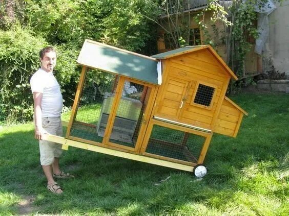 Летний курятник на даче своими руками Pin by DORALI on creatividad Chicken coop, Chicken coop designs, Portable chicke