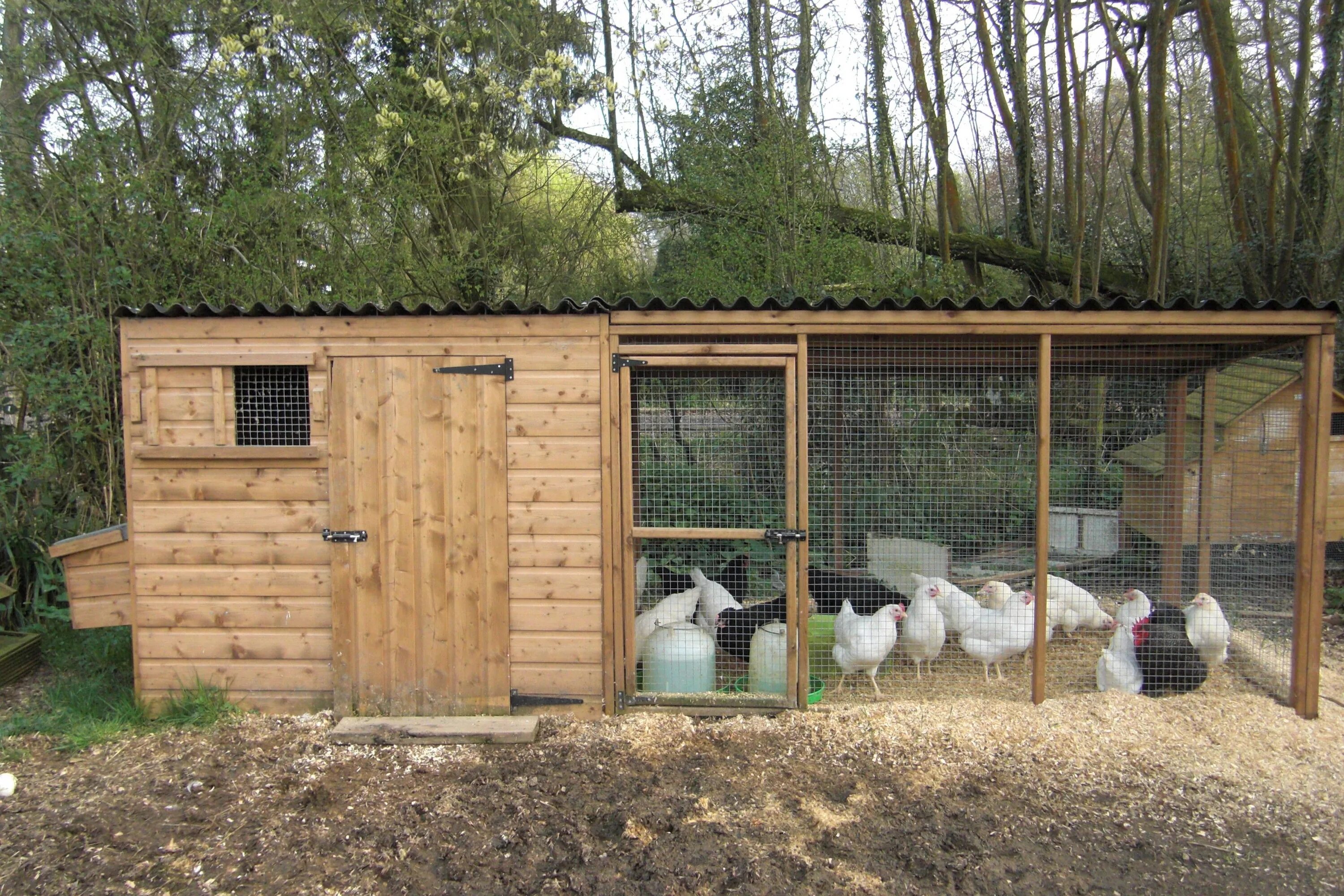 Летний курятник на даче своими руками chicken houses ... house with nestboxes and large adjoining run - Chicken Houses