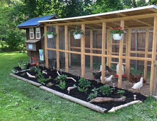 Летний курятник на даче своими руками Pin on Chicken and Duck Coops