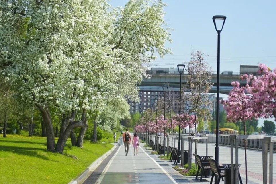 Летний новосибирск фото Погода в Новосибирске на 14 июня 2021 года: когда в город вернется тепло - KP.RU