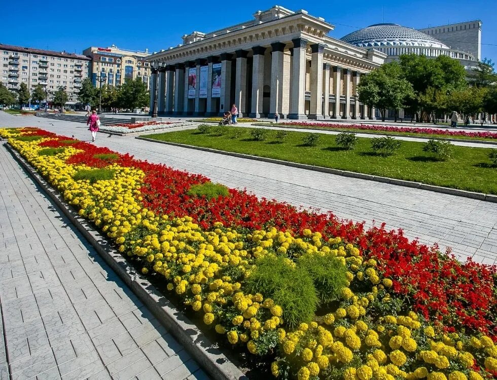 Летний новосибирск фото Новосибирский Горзеленхоз ищет поставщика цветов на 8 млн рублей Бегонии, амаран