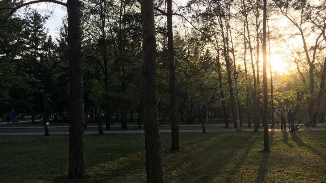 Летний новосибирск фото Атака мошек: Чего ждать жителям Новосибирской области от лета-2022