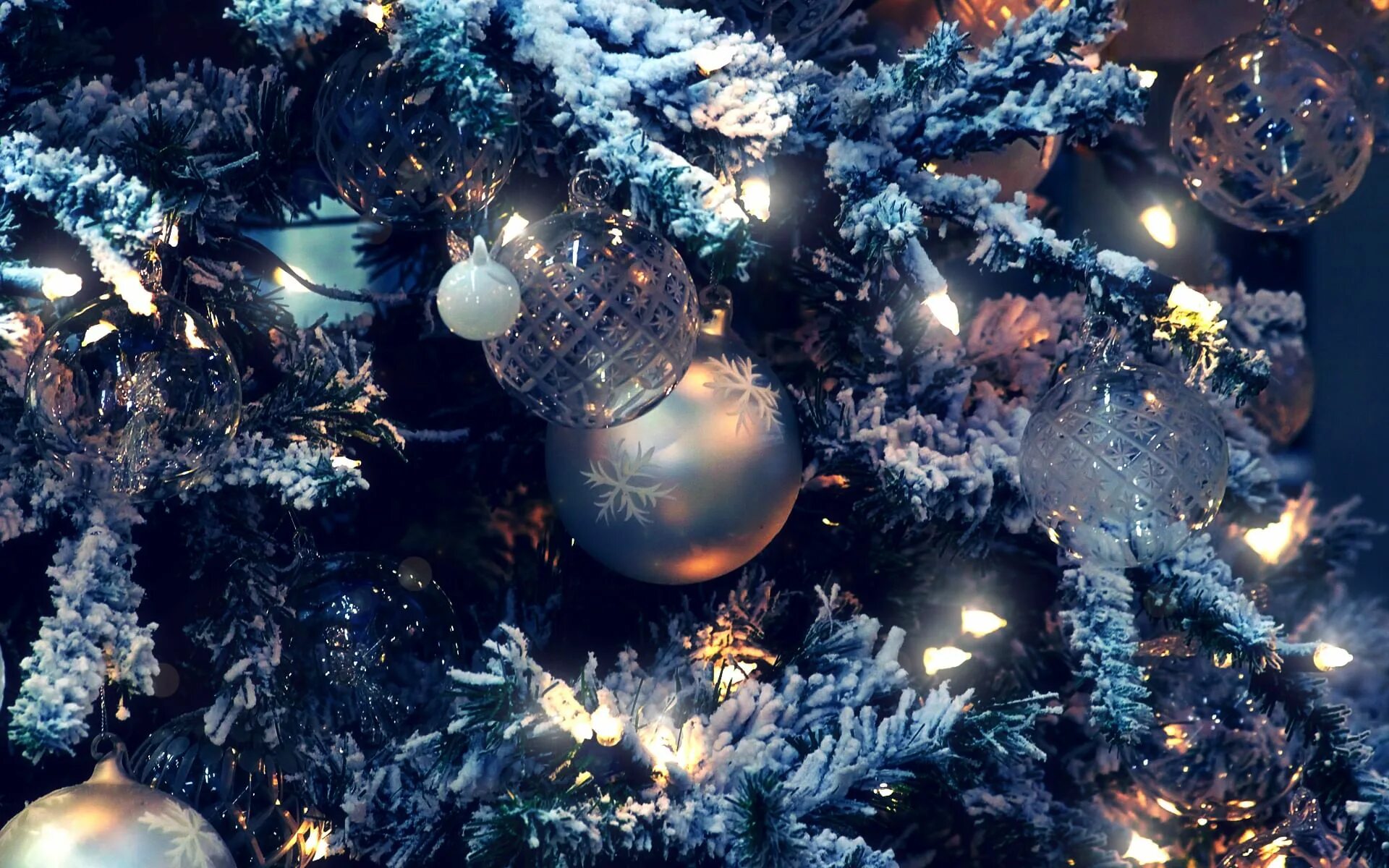 Летний новый год картинки Дискотека "Новогодняя ночь" 2018, Тюменский район - дата и место проведения, про