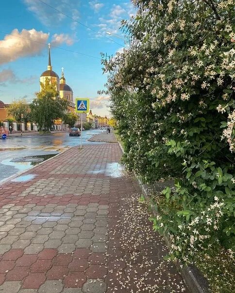 Летний омск фото Автор фото: @donata_che Типичный Томск ВКонтакте