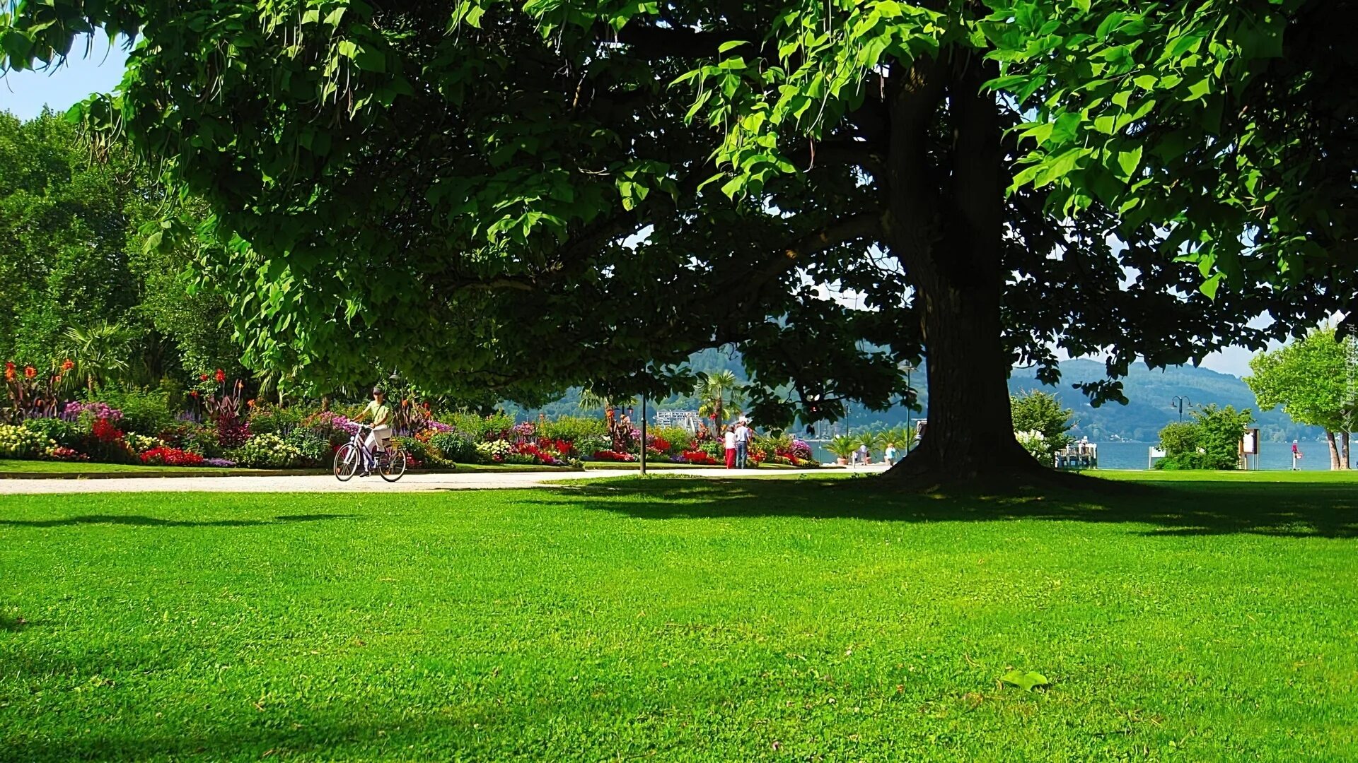 Летний парк фото Lato, Park, Spacerowicze, Austria
