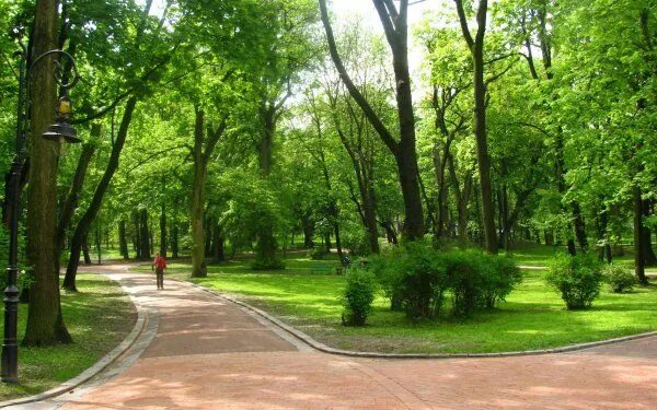 Летний парк фото Ученые: Проживание возле парков снижает вероятность рака груди Country roads, Pa