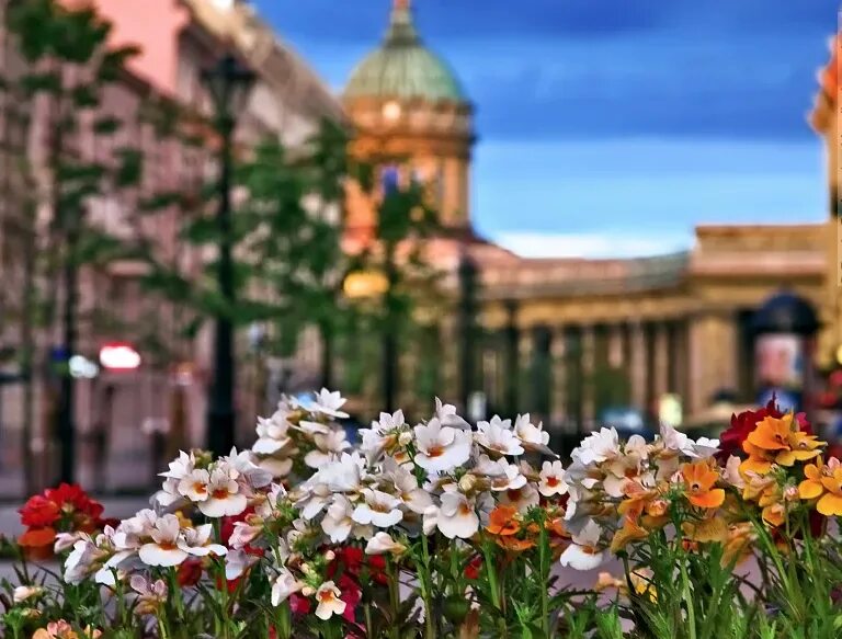 Летний петербург фото Куда сходить на Майские праздники в Санкт-Петербурге 2018