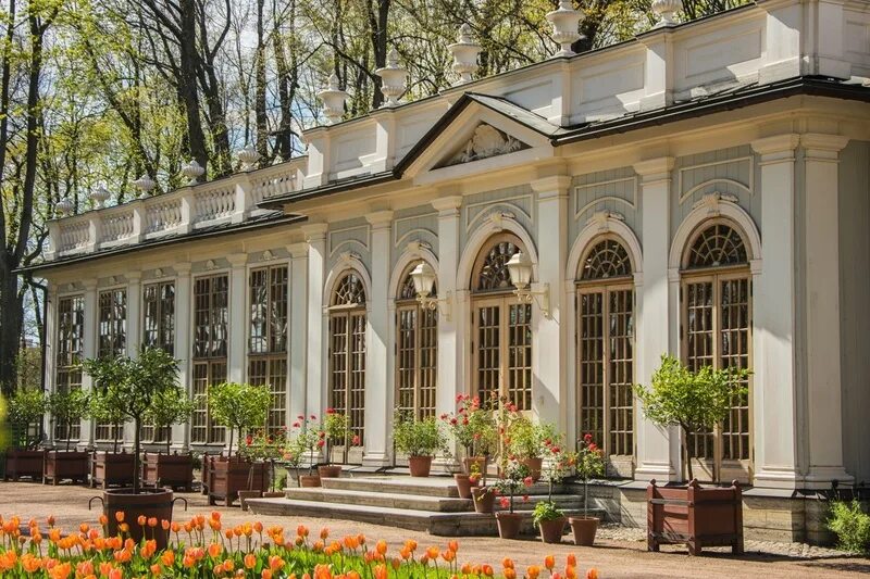Летний сад октябрьский просп 34 фото Консультационно-практическая конференция по промышленному оборудованию 2023