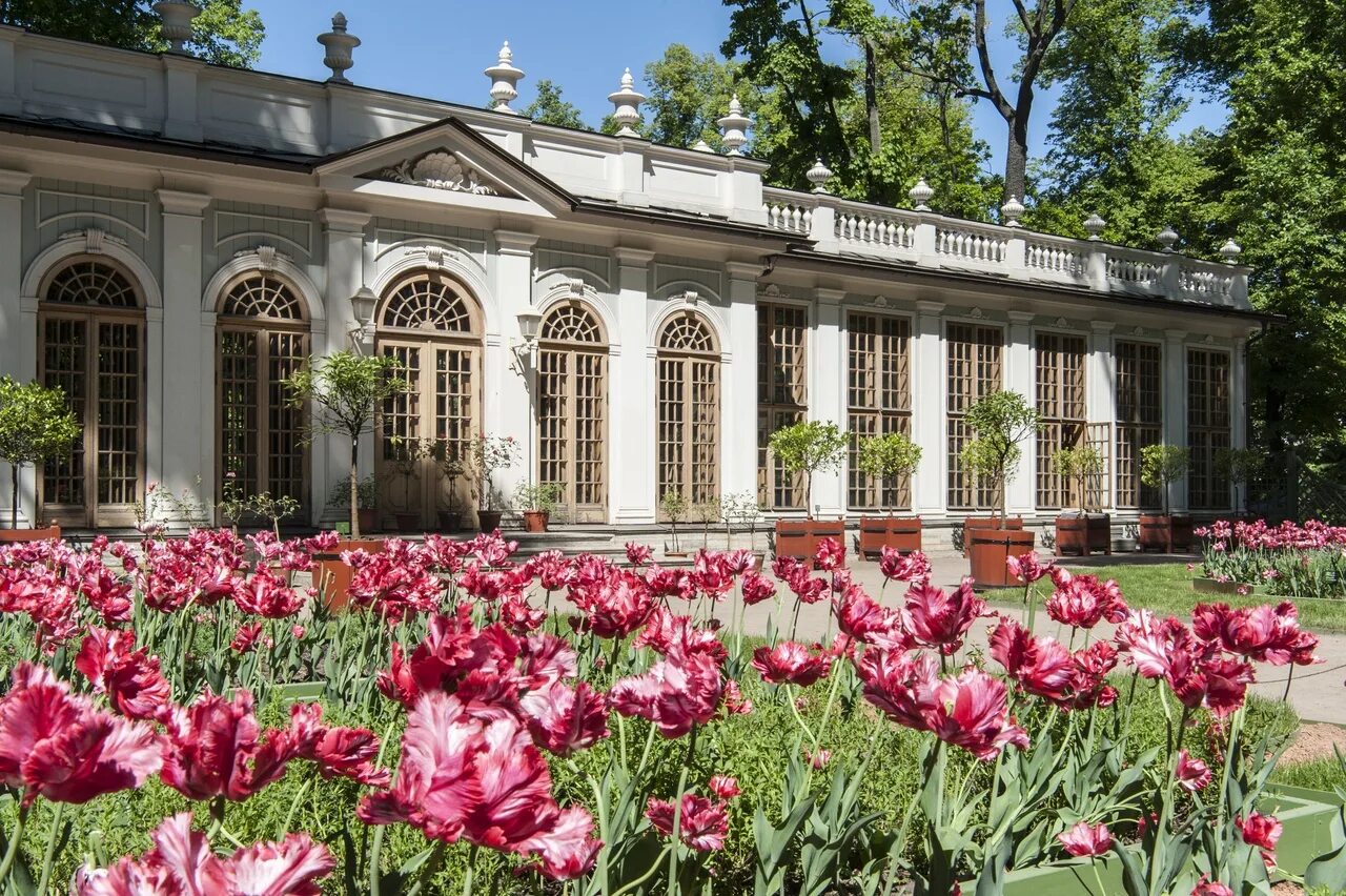 Летний сад питер фото russian museum ПОЗДРАВЛЯЮ СО 125-ЛЕТИЕМ! Сады Русского музея