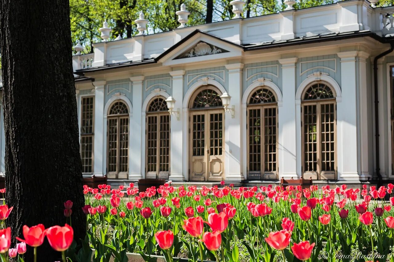 Летний сад питер фото russian museum Летний сад (7) Gardens of Russian Museum