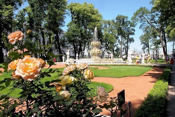 Летний сад сейчас фото Публикации в соцсетях турагентства Любой Каприз по адресу Сафоново, улица Свобод